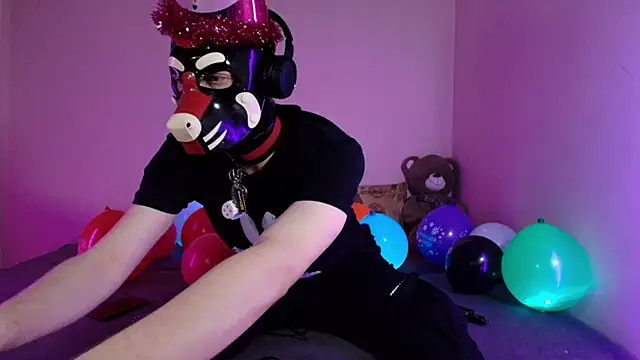 K9 GoodBoy online show from 03/26/26, 07:34