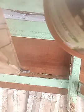 euchapo99 online show from 02/19/26, 01:52