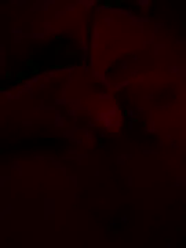 shark822 online show from 02/20/26, 10:33