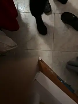 D4n13l47 online show from 04/05/26, 06:58