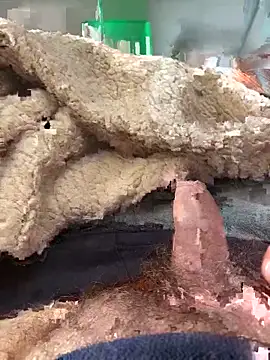 D4n13l47 online show from 03/04/26, 10:01