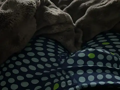 kakarot241515 online show from 03/06/26, 02:17