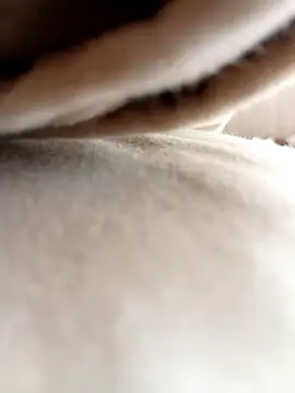 Luigi966 online show from 03/27/26, 06:42