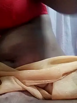 Snapshot of sonahasi chatting on 03/01/26, 04:29 sonahasi online show from 03/01/26, 04:29