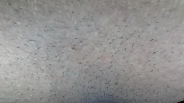 machodotado97 online show from 03/15/26, 05:14