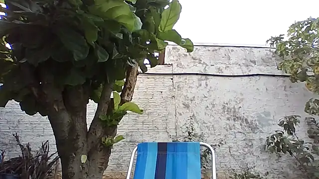 machodotado97 online show from 04/14/26, 06:57