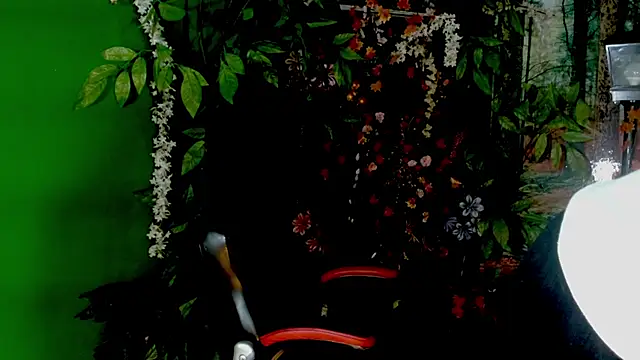 Darkiin FTM online show from 02/28/26, 03:50