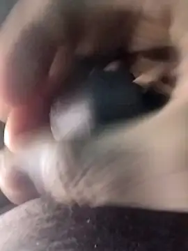 taherDzzf online show from 03/18/26, 11:27