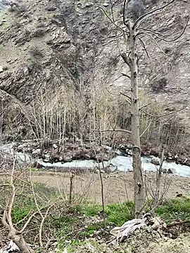 TurkeyMen online show from 04/08/26, 09:11