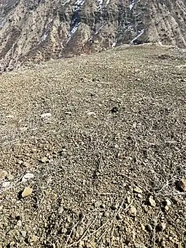 TurkeyMen online show from 03/03/26, 10:11