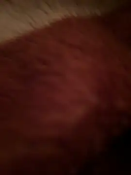 Crevette311 online show from 12/22/25, 09:15