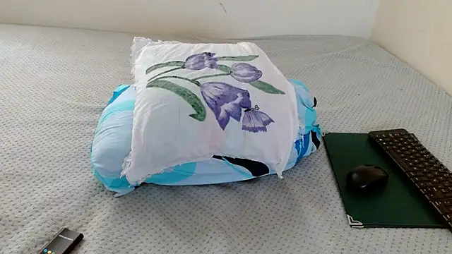  online show from 04/02/26, 03:19