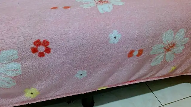  online show from 03/28/26, 06:36