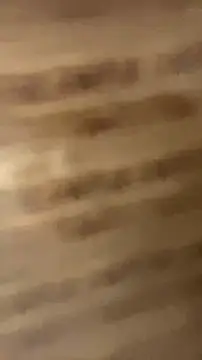 walterktm online show from 04/08/26, 02:35