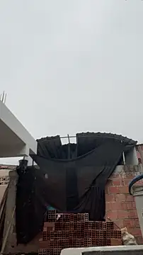 walterktm online show from 03/24/26, 04:29