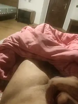 Snapshot of alexandrevictor6969 chatting on 02/27/26, 09:14 alexandrevictor6969 online show from 02/27/26, 09:14