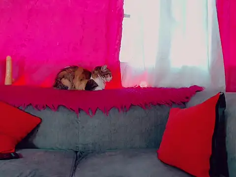 DeboraGill online show from 03/10/26, 08:24