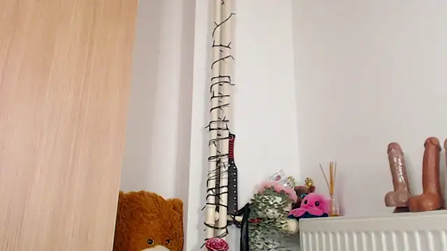 SPICYKC online show from 03/13/26, 05:29