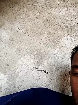 Snapshot of negopreto_ chatting on 02/24/26, 07:37 negopreto online show from 02/24/26, 07:37