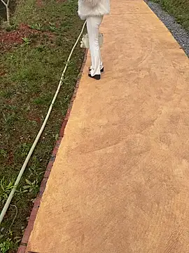 zhuendong000001 online show from 03/13/26, 10:09