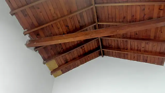 TonyPetrovjs online show from 03/15/26, 07:37