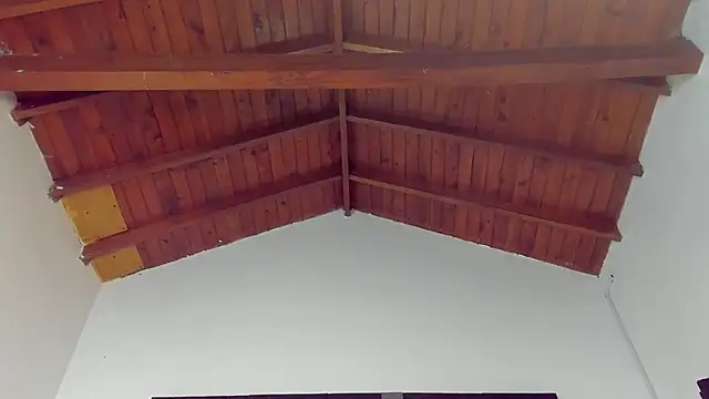 TonyPetrovjs online show from 03/26/26, 04:44