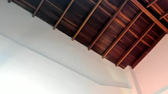 TonyPetrovjs online show from 04/01/26, 04:58