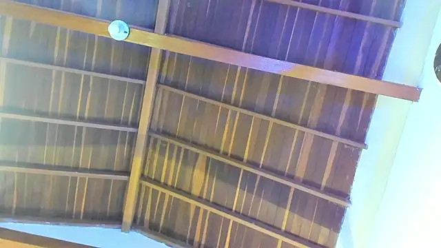 TonyPetrovjs online show from 02/26/26, 05:51