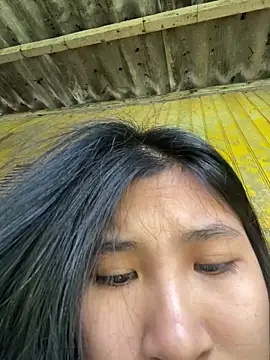 Snapshot of -Havuta- chatting on 02/21/26, 03:41 -Havuta- online show from 02/21/26, 03:41