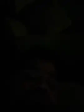 king181869 online show from 03/23/26, 07:14