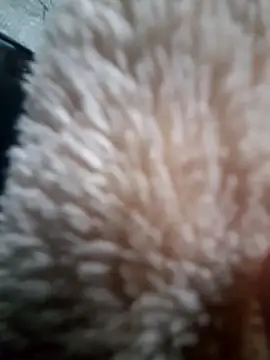 iambesting online show from 02/28/26, 11:21