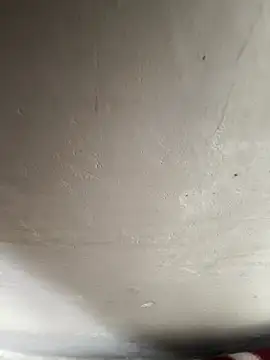 reena-sassy online show from 02/20/26, 08:27