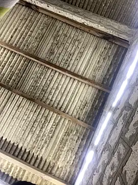 ale sweet53 online show from 04/03/26, 01:56