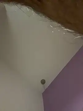 dimitri25987 online show from 04/17/26, 07:33