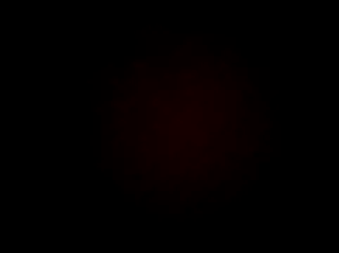 wifedesi7050 online show from 03/24/26, 07:30