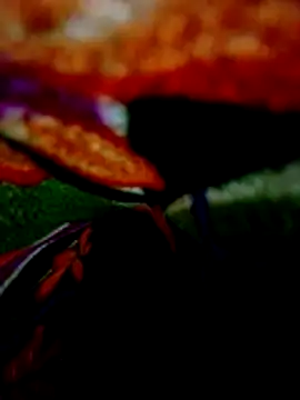 wifedesi7050 online show from 04/20/26, 08:21