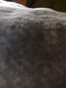 mrsdevika online show from 04/17/26, 08:33