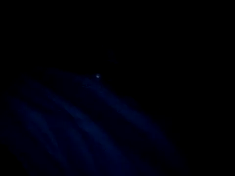 vladsexyguitar online show from 03/04/26, 01:02