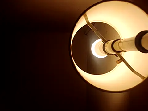 stud2512 online show from 04/27/26, 08:29