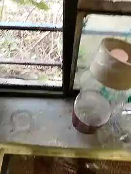 Snapshot of blackbeauty321 chatting on 02/26/26, 11:21 blackbeauty321 online show from 02/26/26, 11:21