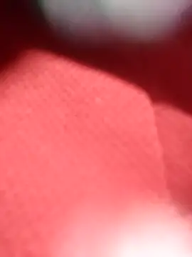 Snapshot of jackkk0011 chatting on 02/26/26, 12:49 jackkk0011 online show from 02/26/26, 12:49