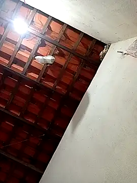 erotil 1 online show from 03/28/26, 04:13