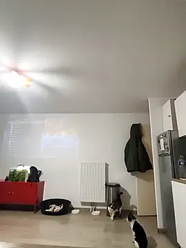 eruzam59000 online show from 03/07/26, 07:04