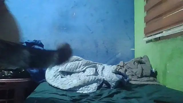 Soylilayblue online show from 03/25/26, 06:46