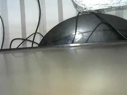 negraiza online show from 05/22/26, 05:00