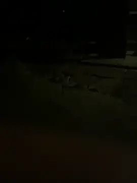 Snapshot of princessandthefootjob chatting on 03/31/26, 04:36 princessandthefootjob online show from 03/31/26, 04:36