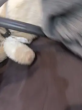 NniuAh online show from 03/10/26, 09:13