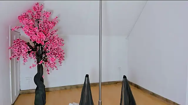 Calioperoux online show from 04/09/26, 10:16