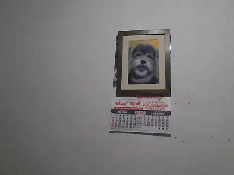 DIEGOLUIS2026 online show from 03/06/26, 03:56