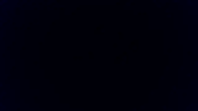 BunnyYT online show from 04/08/26, 05:58